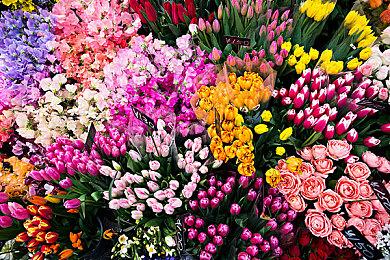 知晓爱为何物的物语！NS《君于雪中希冀》中文版发售日公开！